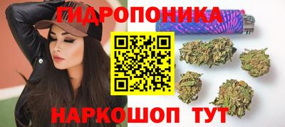 сатива Дубна
