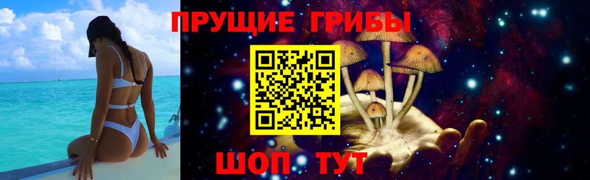 Галлюциногенные грибы прущие грибы Кизилюрт
